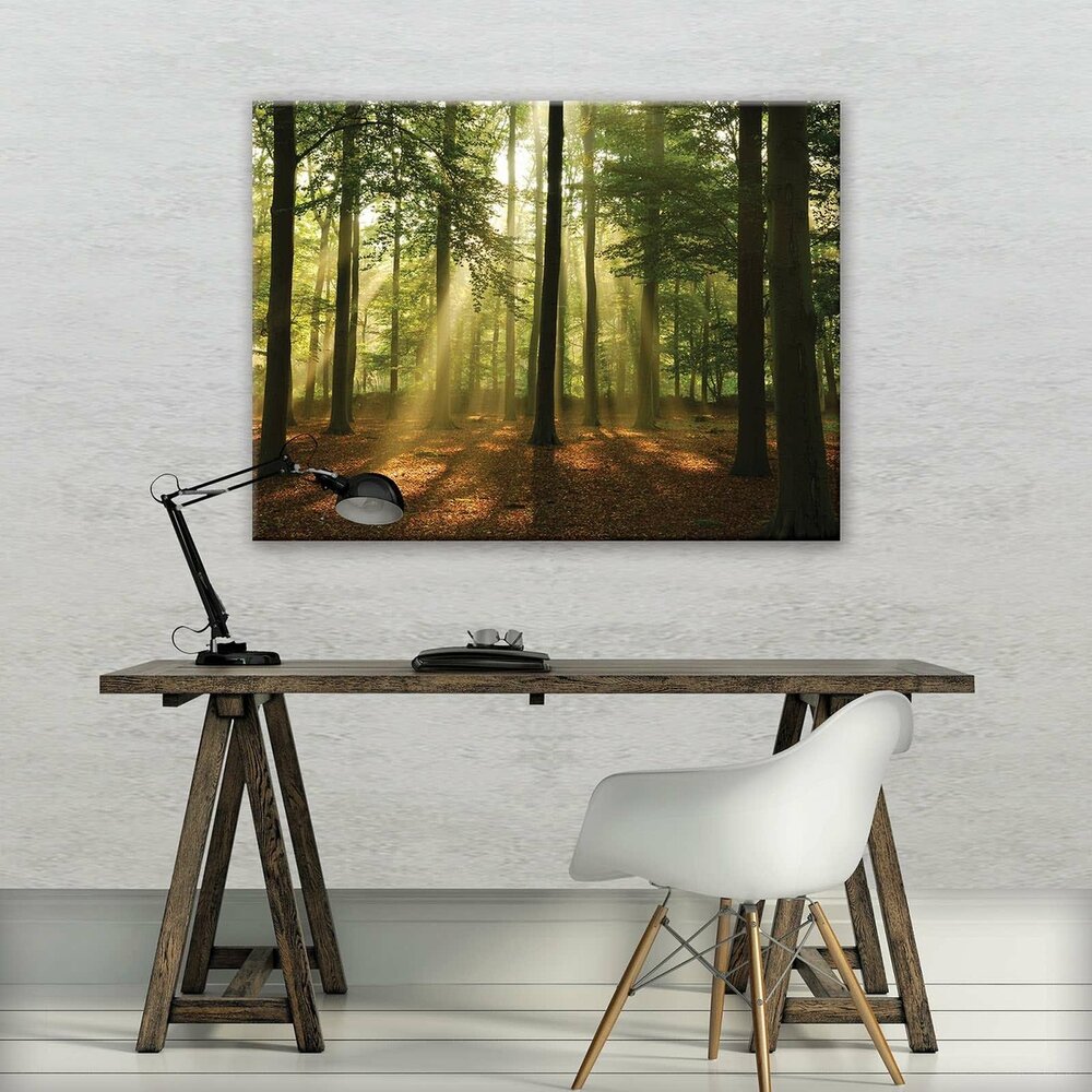 Forest in the Daylight Canvas Schilderij PP10331O1