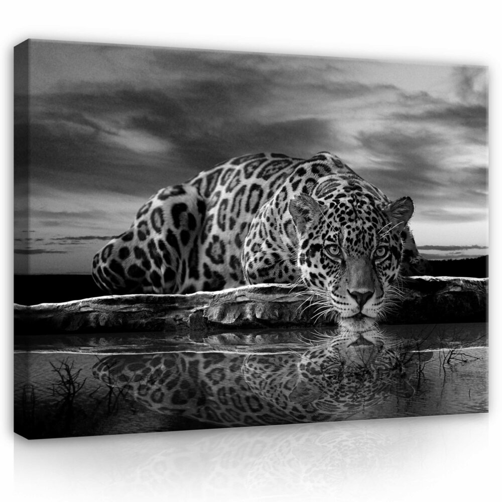 Creeping Jaguar in Black and White Canvas Schilderij PP171O1