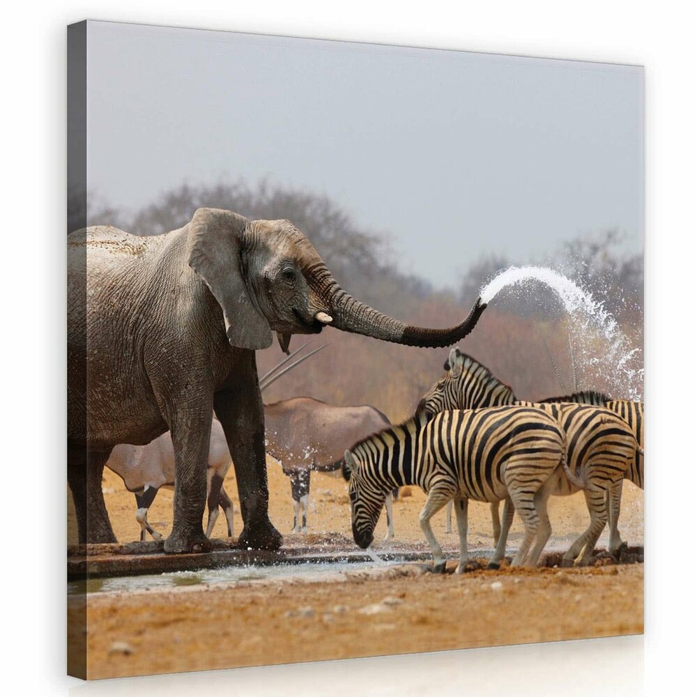 Elephant Canvas Schilderij PP10093O2