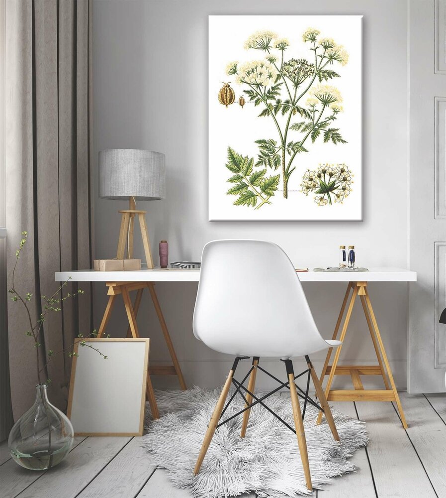 Herbs Canvas Schilderij PP11938O1