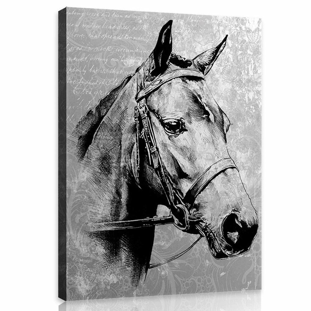 Vintage horse Canvas Schilderij PP10146O1