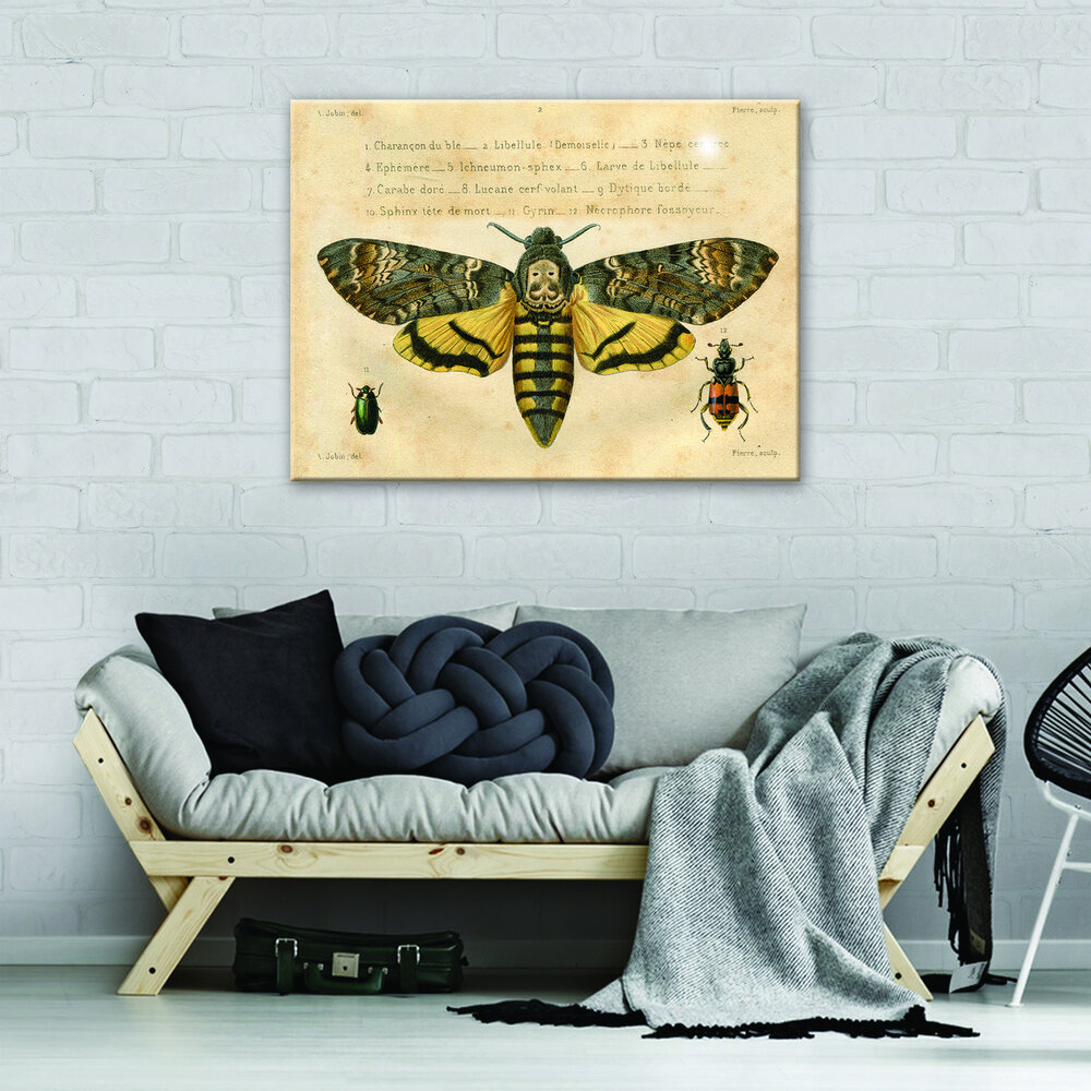 A big moth worms Canvas Schilderij PP11937O1