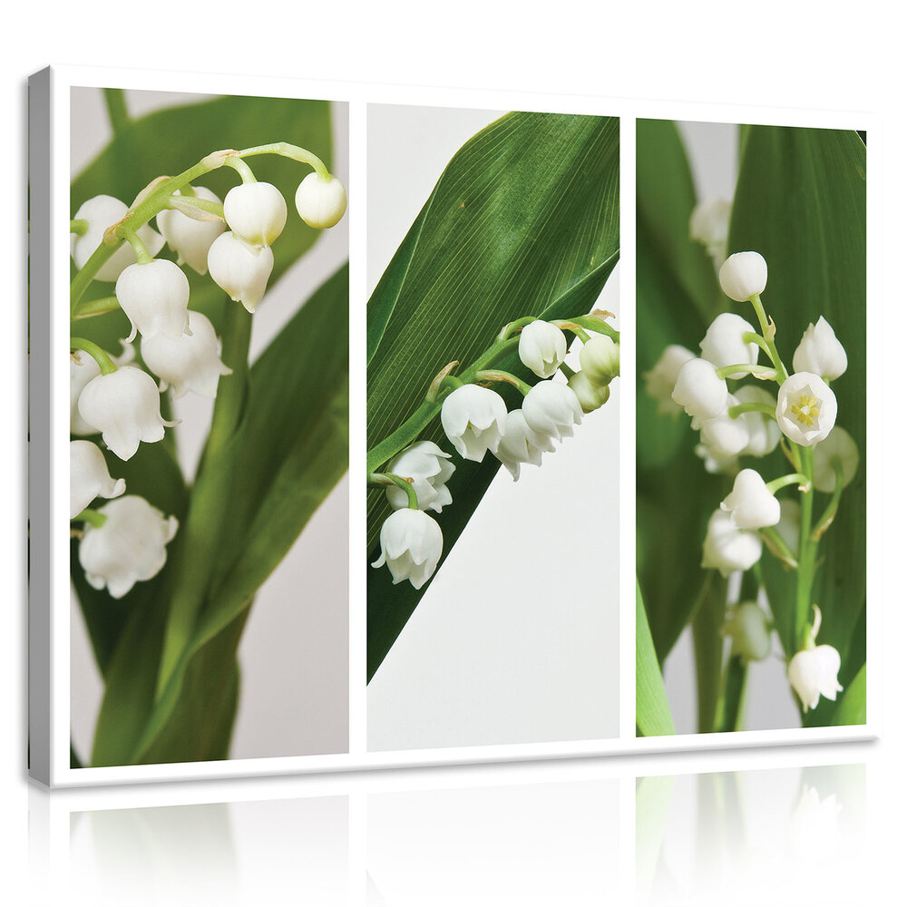 Flowers Canvas Schilderij PP11908O1