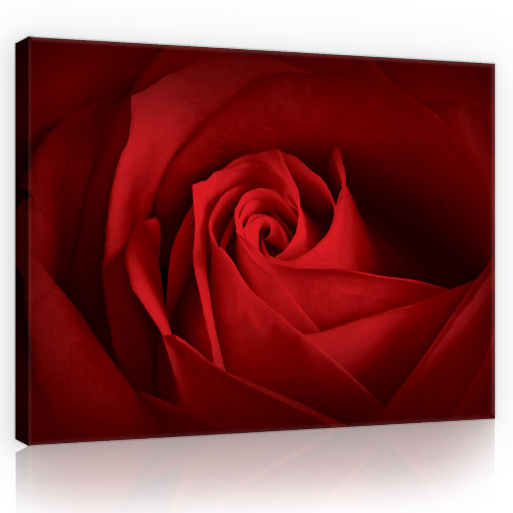 Rose Canvas Schilderij PP10151O4