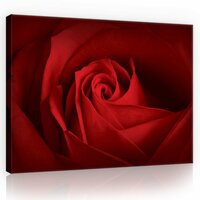 Rose Canvas Schilderij PP10151O1