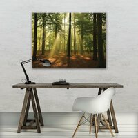 Forest in the Daylight Canvas Schilderij PP10331O1