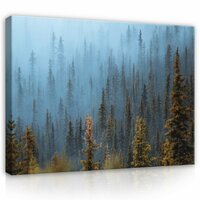 Forest Canvas Schilderij PP13915O1