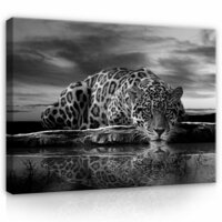 Creeping Jaguar in Black and White Canvas Schilderij PP171O1