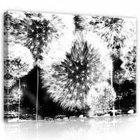 Dandelion Canvas Schilderij PP1568O1