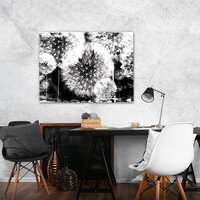 Dandelion Canvas Schilderij PP1568O1