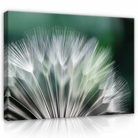 Dandelion Canvas Schilderij PP118O1