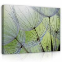Dandelions Canvas Schilderij PP269O1