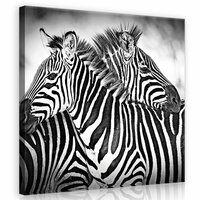 Zebras Canvas Schilderij PP10092O2