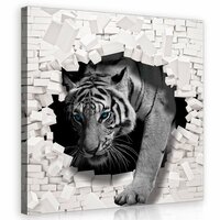 3D Tiger Coming out the Wall Canvas Schilderij PP10400O2