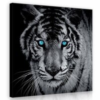 Tiger Canvas Schilderij PP10202O2