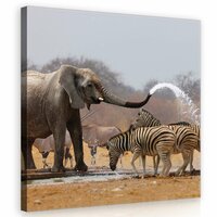 Elephant Canvas Schilderij PP10093O2