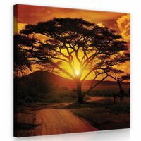 Africa Canvas Schilderij PP20316O2