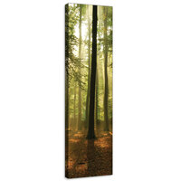 Forest in the Daylight Canvas Schilderij PP10331O3