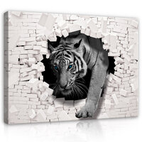 3D Tiger Coming out the Wall Canvas Schilderij PP10400O20