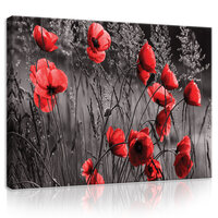 Poppies Canvas Schilderij PP11763O1