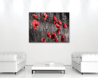 Poppies Canvas Schilderij PP11763O1
