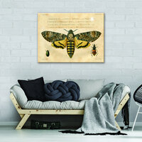A big moth worms Canvas Schilderij PP11937O1