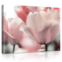 Flowers Canvas Schilderij PP11911O1
