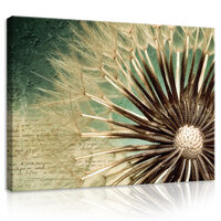 Dandelion Canvas Schilderij PP11909O1