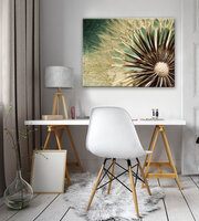 Dandelion Canvas Schilderij PP11909O1