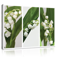 Flowers Canvas Schilderij PP11908O1