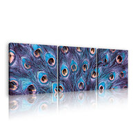 Peacock feather Canvas Schilderij PS11046S13
