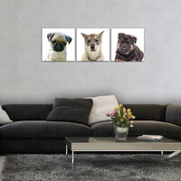 Puppies Canvas Schilderij PS10532S13