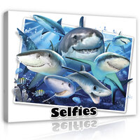 Sharks- Selfies Canvas Schilderij PP12814O1