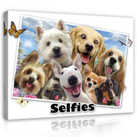 Dogs- Selfies Canvas Schilderij PP12806O1
