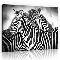 Zebra Black-White Canvas Schilderij PP10159O4
