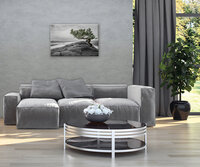 The tree on the rock Canvas Schilderij PP11759O4