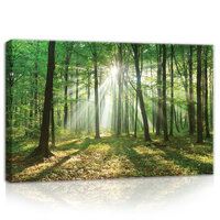 Forest in Daylight Canvas Schilderij PP10329O4
