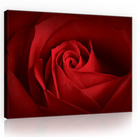 Rose Canvas Schilderij PP10151O4