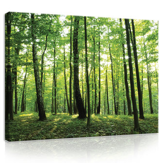 Green Forest Canvas Schilderij PP20011O1