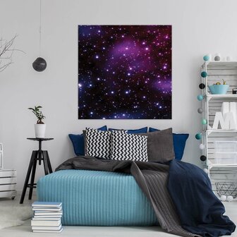 Cosmos Canvas Schilderij PP20388O2