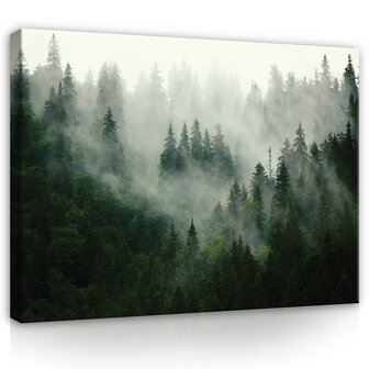Forest in the fog Canvas Schilderij PP13026O20