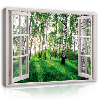 3D Effect Window Birch Forest View Canvas Schilderij PP14248O20