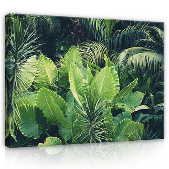 Nature leaves jungle green Canvas Schilderij PP14523O20