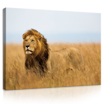 Lion Canvas Schilderij PP11750O1