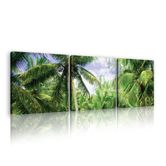 Palm Canvas Schilderij PS11349S13