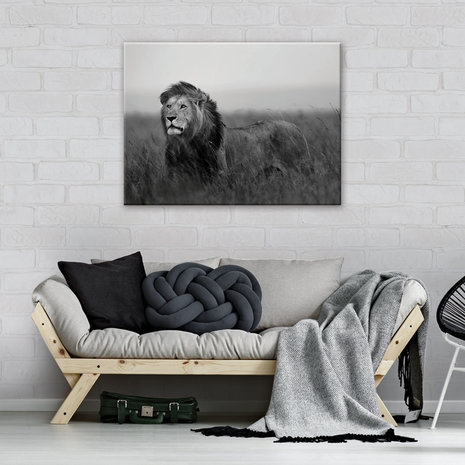 Lion  Canvas Schilderij PP11760O1