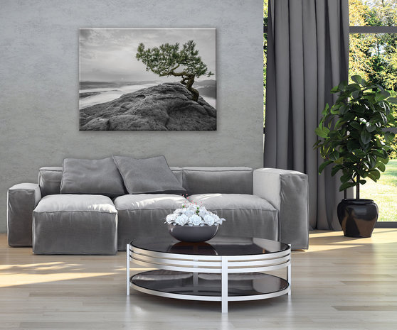 The tree on the rock Canvas Schilderij PP11759O1