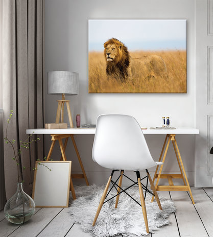 Lion Canvas Schilderij PP11750O1