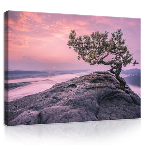 The tree on the rock Canvas Schilderij PP11749O1