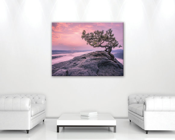 The tree on the rock Canvas Schilderij PP11749O1